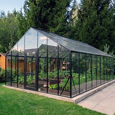 БИОНИКА Гранд