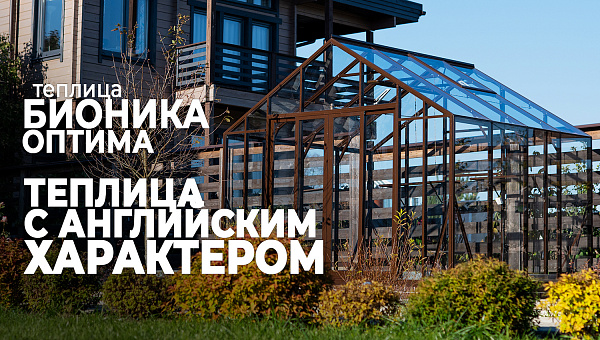 Стильная теплица БИОНИКА Оптима